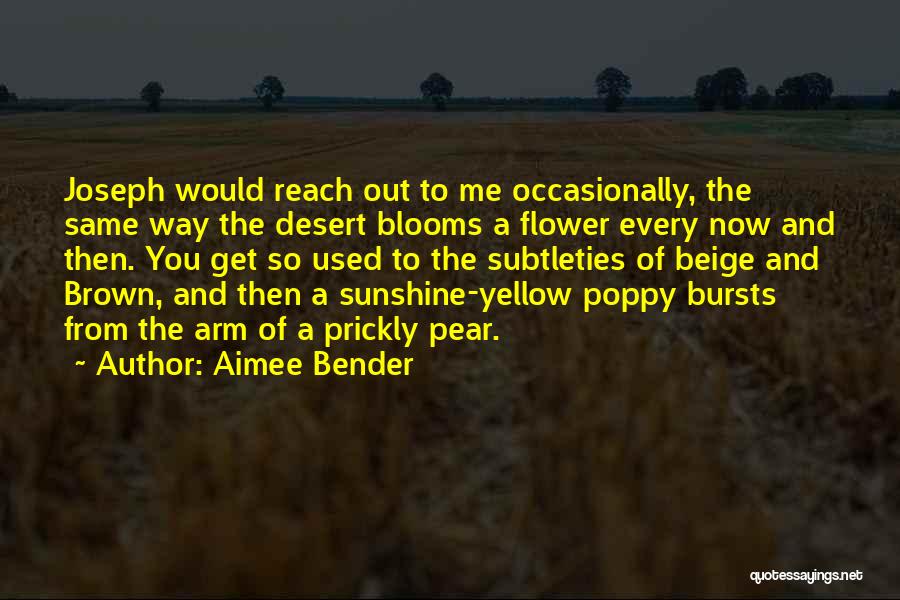 Aimee Bender Quotes 1709122