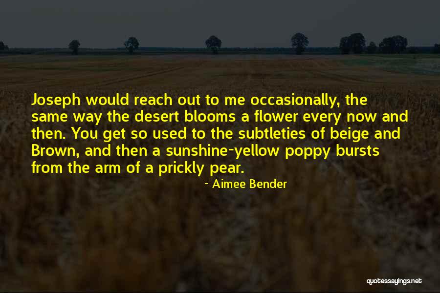 Aimee Bender Quotes 1709122