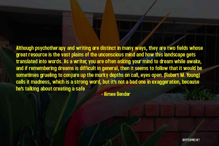 Aimee Bender Quotes 2177494