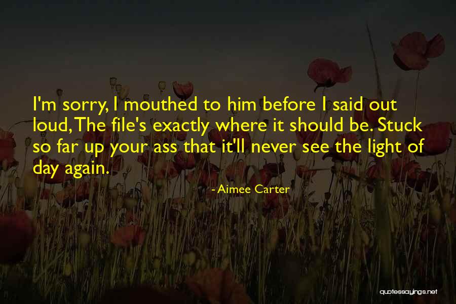 Aimee Carter Quotes 2124104