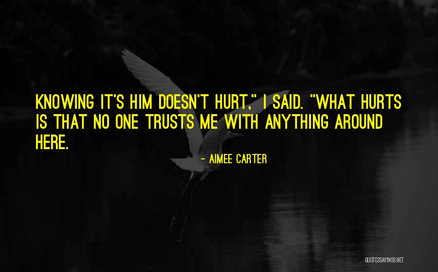 Aimee Carter Quotes 522726