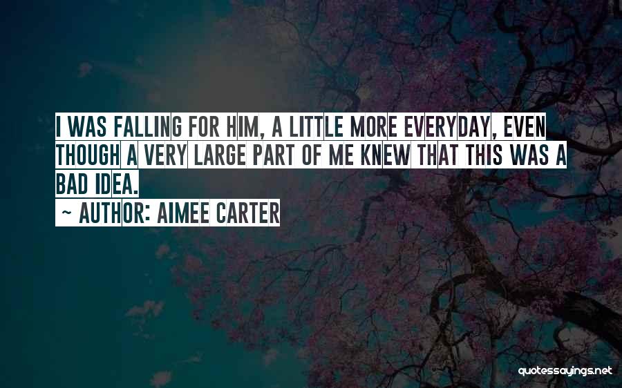 Aimee Carter Quotes 833197