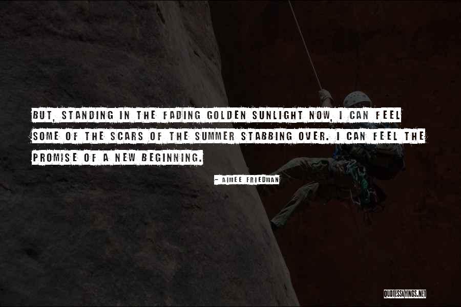 Aimee Friedman Quotes 620905 Aimee Friedman Quotes 620905