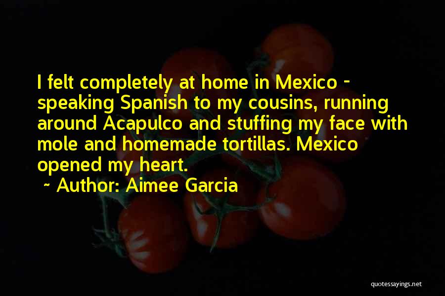 Aimee Garcia Quotes 1312061