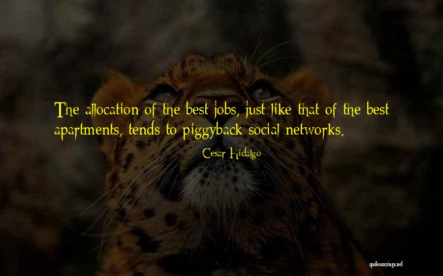 Aimery Organosys Quotes By Cesar Hidalgo Aimery Organosys Quotes By Cesar Hidalgo