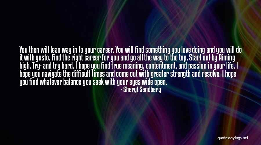 Aiming Too High Quotes By Sheryl Sandberg