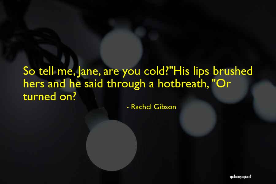 Aiming Too Low Quotes By Rachel Gibson Aiming Too Low Quotes By Rachel Gibson