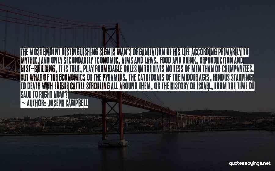 Aims In Life Quotes By Joseph Campbell