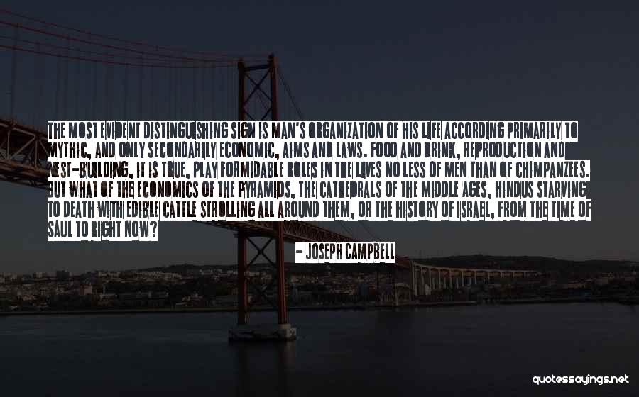 Aims In Life Quotes By Joseph Campbell