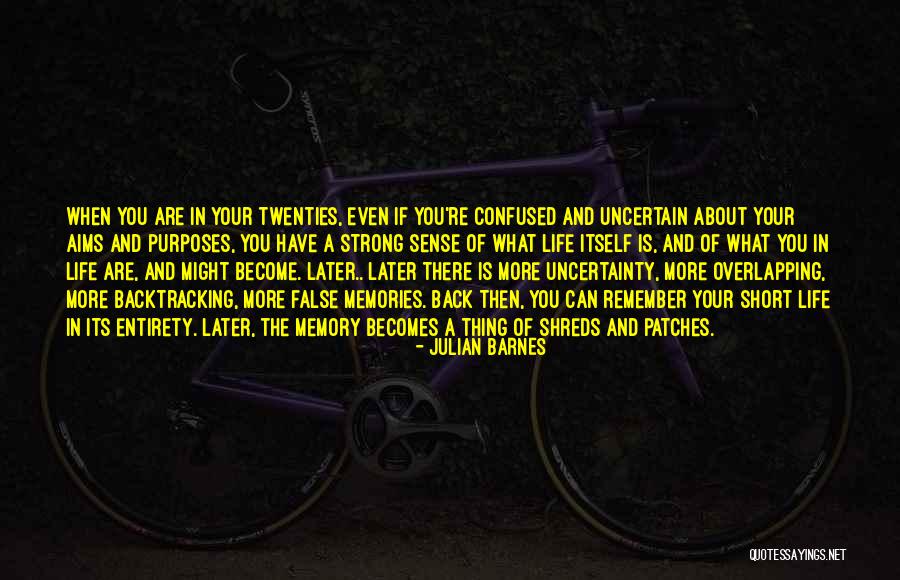 Aims In Life Quotes By Julian Barnes