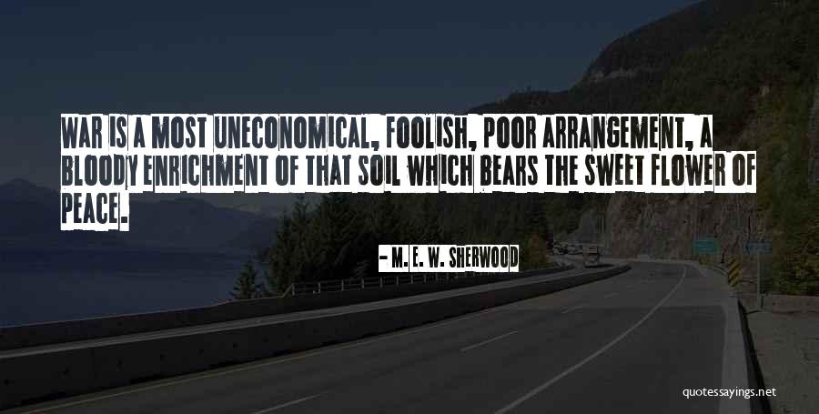 Ainara Kuzhbaeva Quotes By M. E. W. Sherwood Ainara Kuzhbaeva Quotes By M. E. W. Sherwood