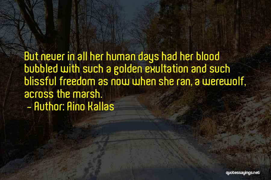 Aino Kallas Quotes 1897386