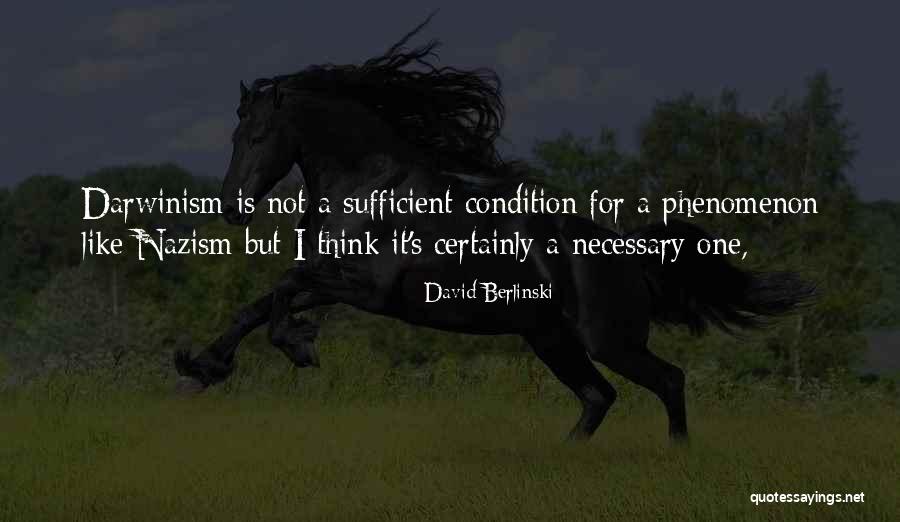 Ainslee Fox Quotes By David Berlinski Ainslee Fox Quotes By David Berlinski