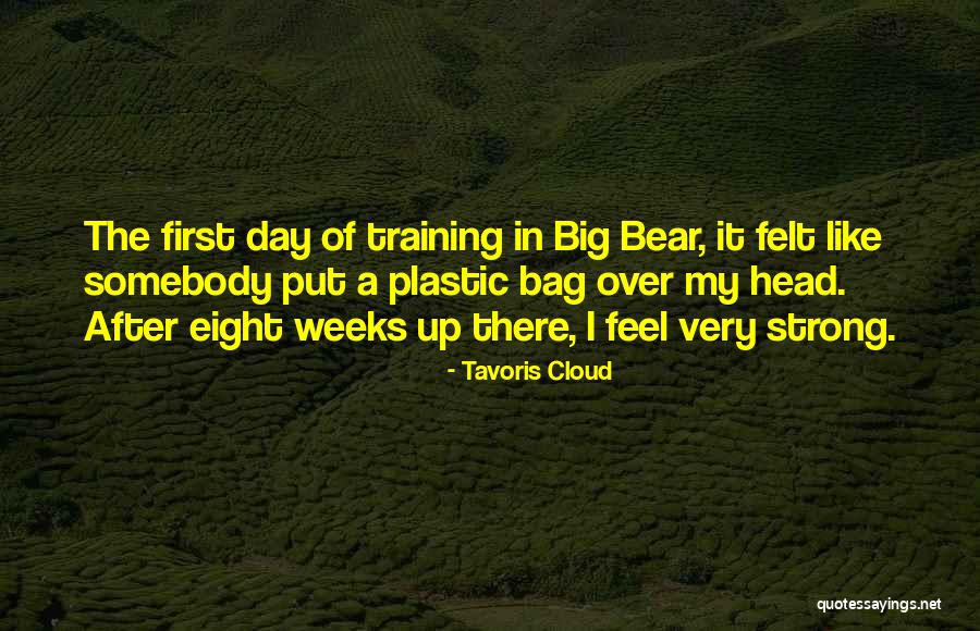 Ainslees Salt Quotes By Tavoris Cloud Ainslees Salt Quotes By Tavoris Cloud