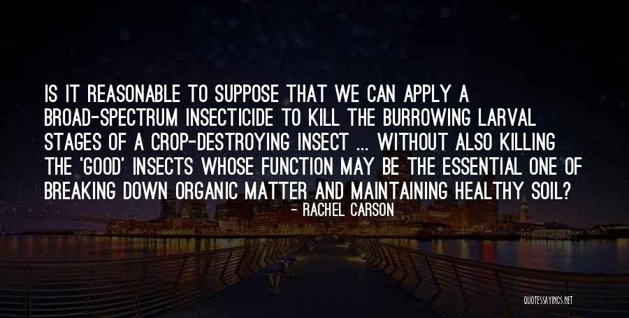 Ainsley Hayes Quotes By Rachel Carson Ainsley Hayes Quotes By Rachel Carson