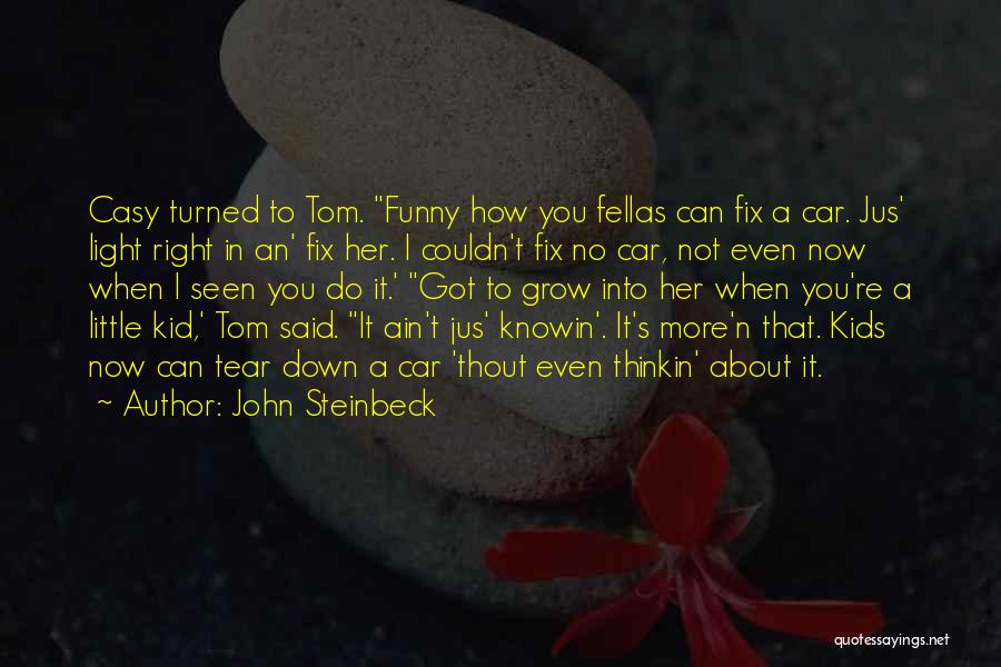 Ain't It Funny Quotes By John Steinbeck