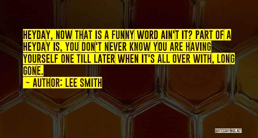 Ain't It Funny Quotes By Lee Smith