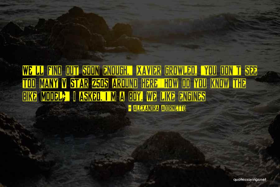 Ainura Ks Quotes By Alexandra Adornetto Ainura Ks Quotes By Alexandra Adornetto