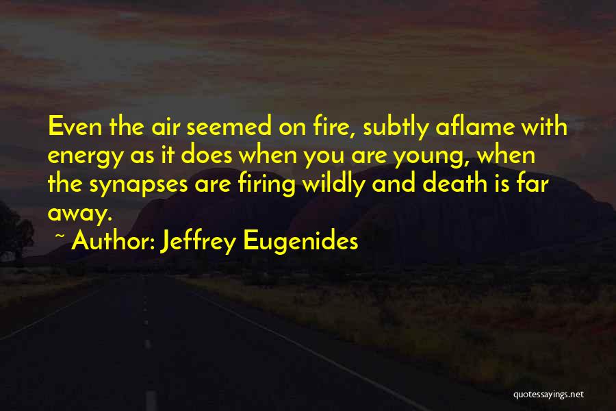 Air And Fire Quotes By Jeffrey Eugenides