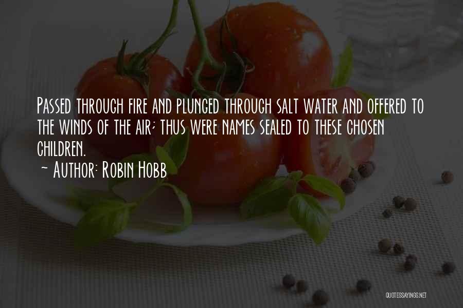 Air And Fire Quotes By Robin Hobb