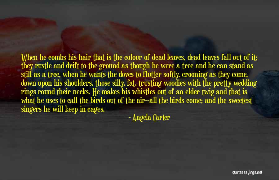 Air And Hair Quotes By Angela Carter