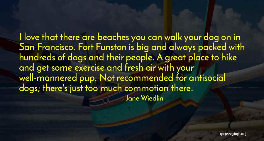 Air And Love Quotes By Jane Wiedlin Air And Love Quotes By Jane Wiedlin
