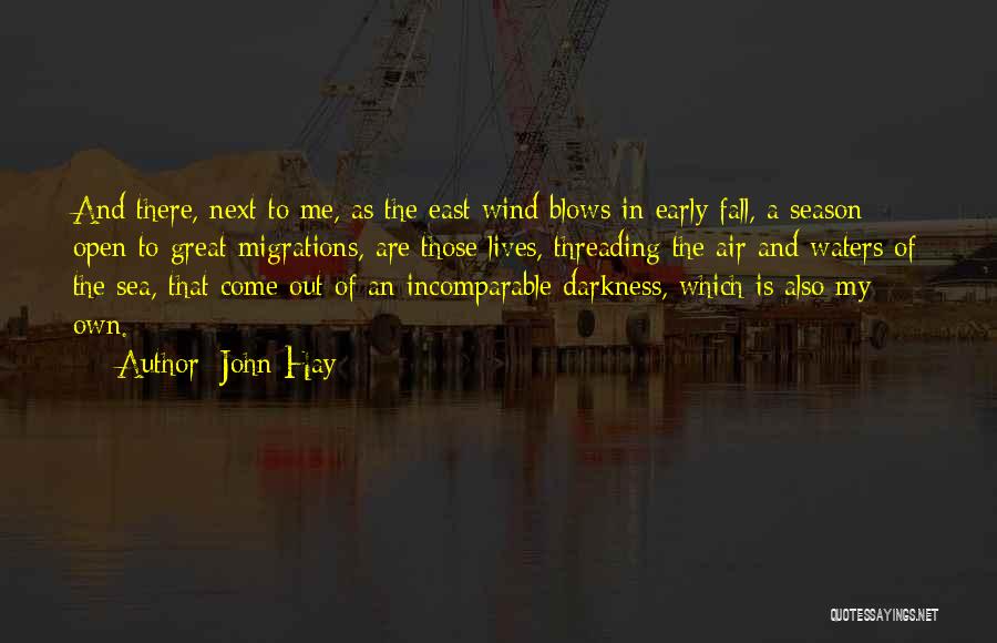 Air And Sea Quotes By John Hay