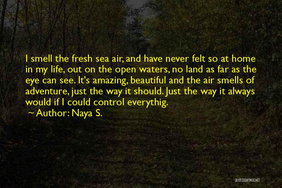 Air And Sea Quotes By Naya S.