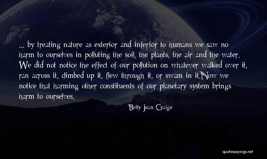 Air And Water Pollution Quotes By Betty Jean Craige