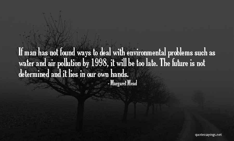 Air And Water Pollution Quotes By Margaret Mead