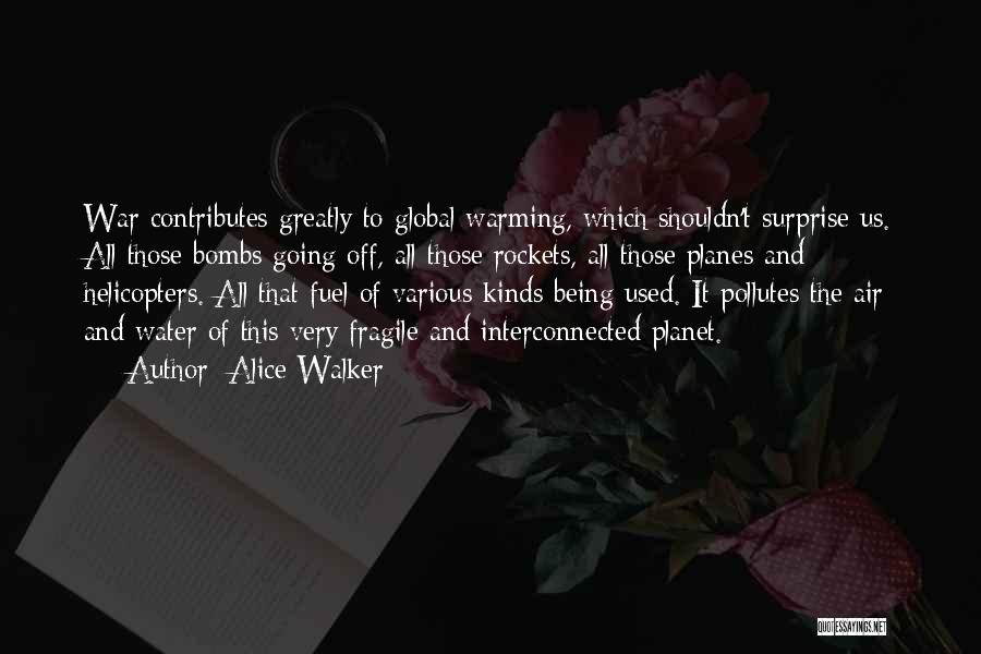 Air And Water Quotes By Alice Walker