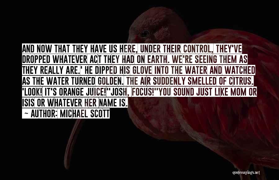 Air And Water Quotes By Michael Scott