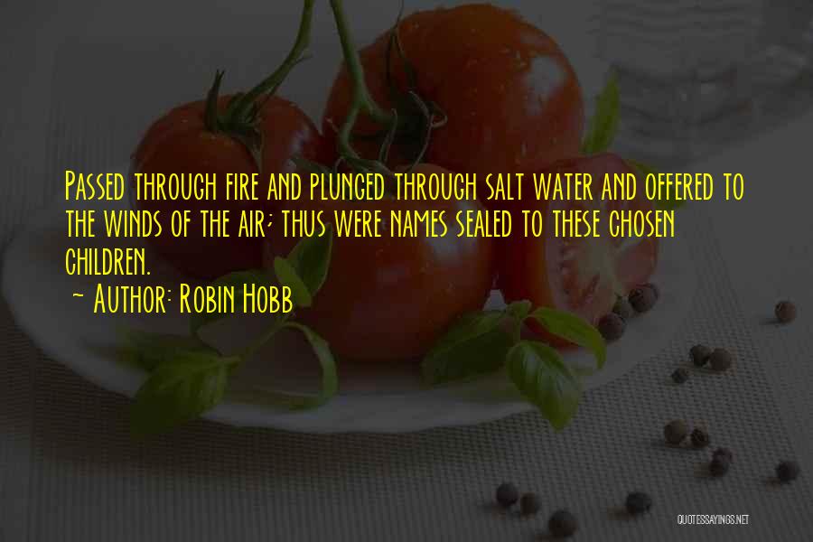 Air And Water Quotes By Robin Hobb