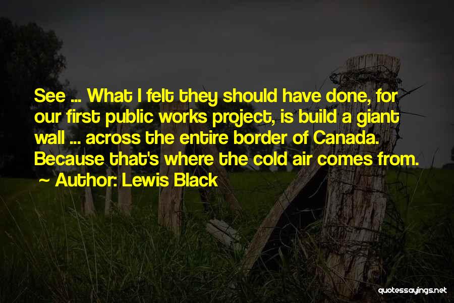 Air Canada Quotes By Lewis Black