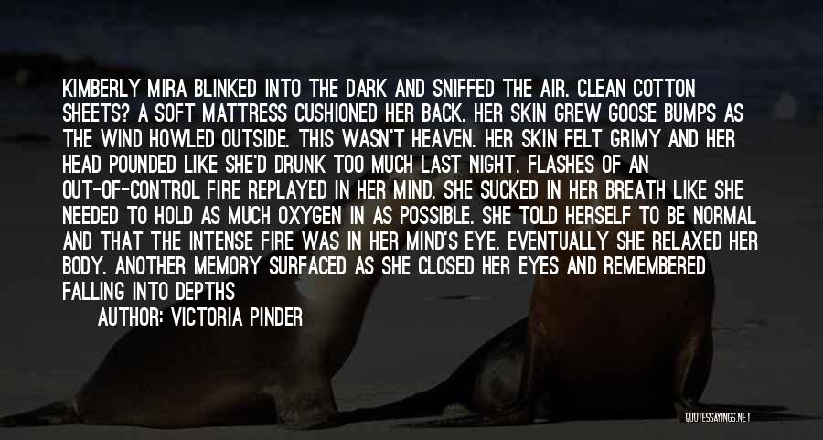 Air Control Quotes By Victoria Pinder