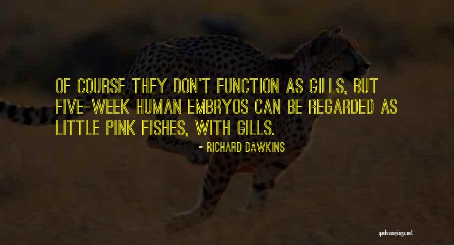 Air Force 1 Nike Quotes By Richard Dawkins Air Force 1 Nike Quotes By Richard Dawkins