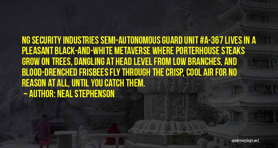 Air Guard Quotes By Neal Stephenson