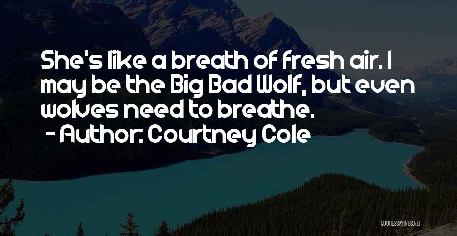 Air I Breathe Quotes By Courtney Cole