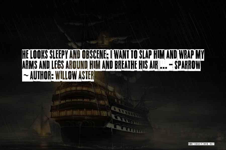 Air I Breathe Quotes By Willow Aster