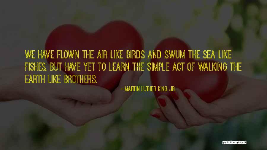 Air King King Quotes By Martin Luther King Jr.