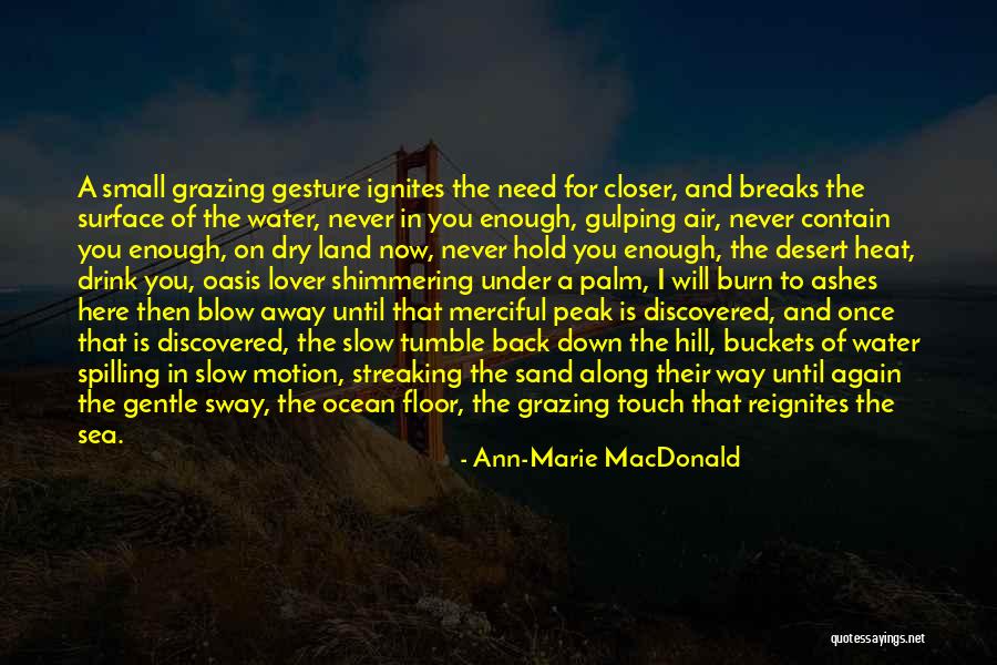 Air Land And Sea Quotes By Ann-Marie MacDonald Air Land And Sea Quotes By Ann-Marie MacDonald