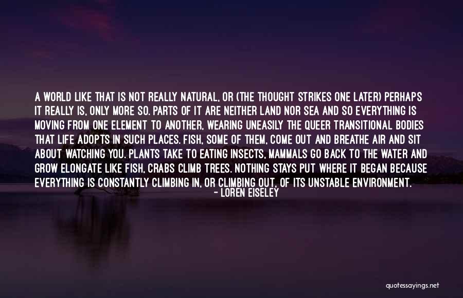 Air Land And Sea Quotes By Loren Eiseley Air Land And Sea Quotes By Loren Eiseley