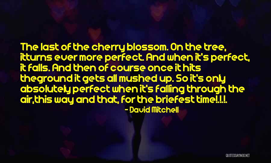 Air Of Life Quotes By David Mitchell Air Of Life Quotes By David Mitchell
