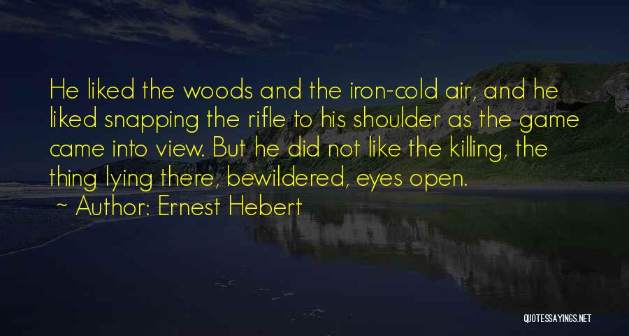 Air Rifle Quotes By Ernest Hebert