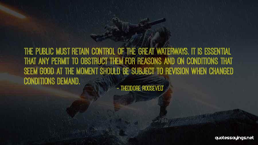 Air Sungai Quotes By Theodore Roosevelt Air Sungai Quotes By Theodore Roosevelt