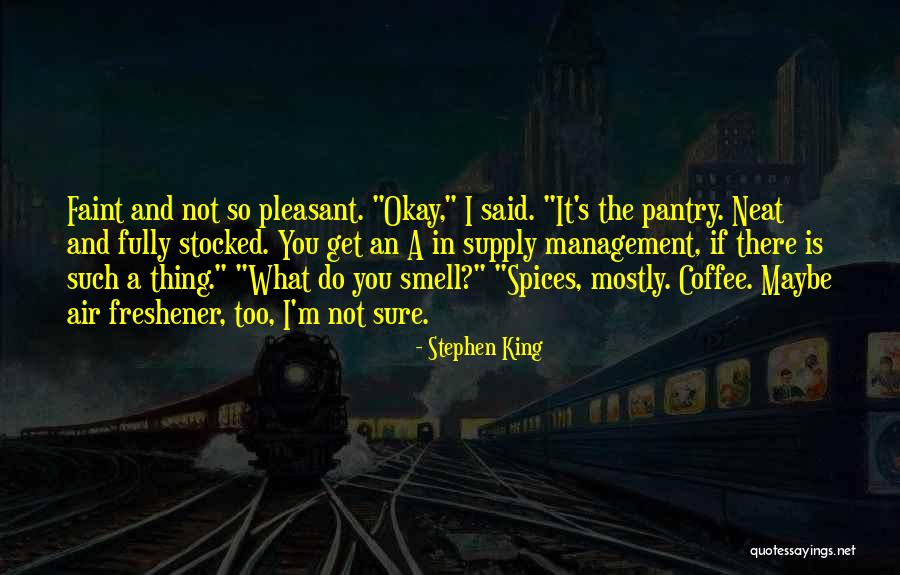 Air Supply Quotes By Stephen King