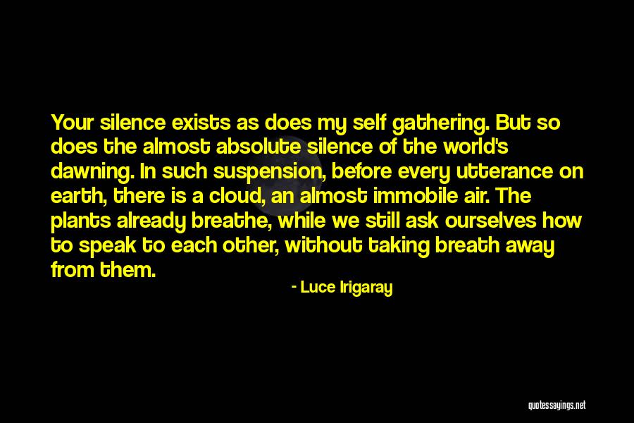 Air Suspension Quotes By Luce Irigaray