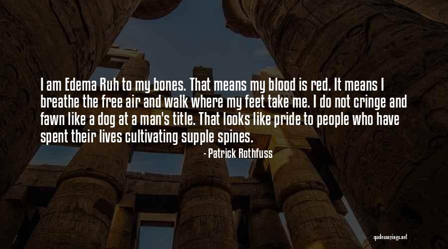 Air That I Breathe Quotes By Patrick Rothfuss Air That I Breathe Quotes By Patrick Rothfuss