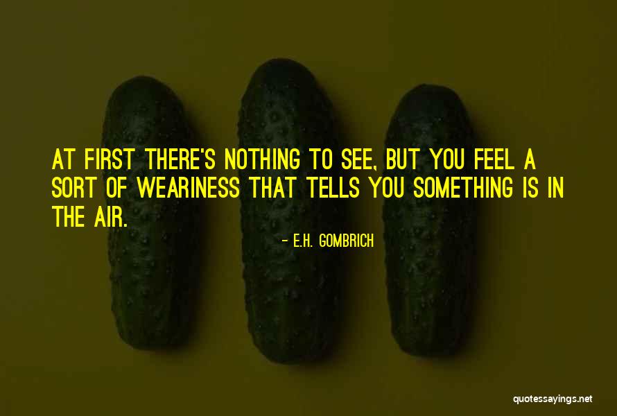 Air That Quotes By E.H. Gombrich Air That Quotes By E.H. Gombrich