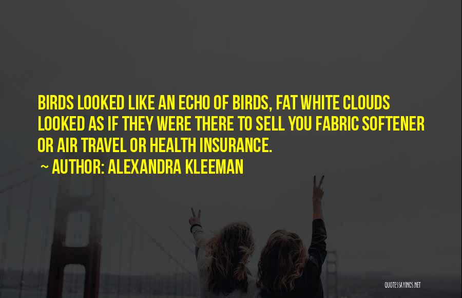 Air Travel Quotes By Alexandra Kleeman